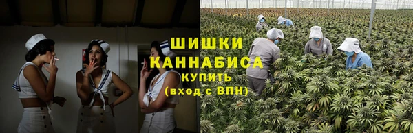spice Козельск
