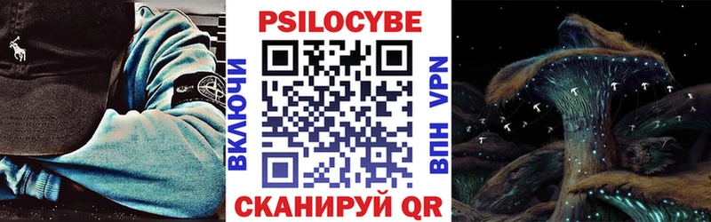 купить наркотики цена  Сим  Галлюциногенные грибы Psilocybe 